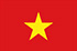 Online- und Mobile-Panel in Vietnam