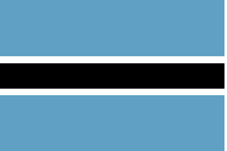 Online-Marktforschungspanel in Botswana