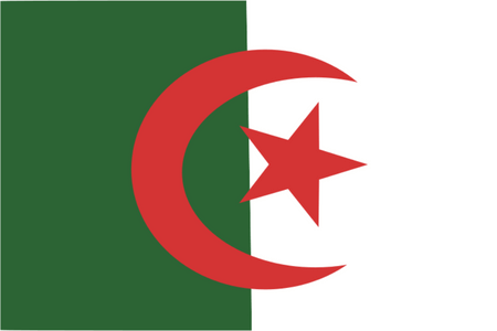 Online-Forschungspanel in Algerien