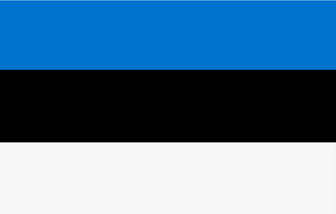 Online-Marktforschungspanel in Estland
