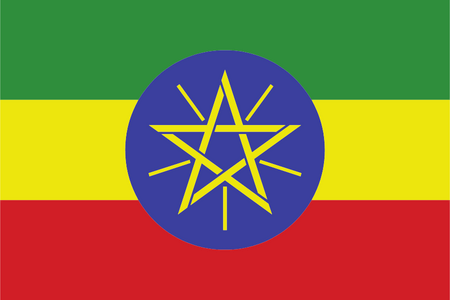 Online-Forschungspanel in Äthiopien