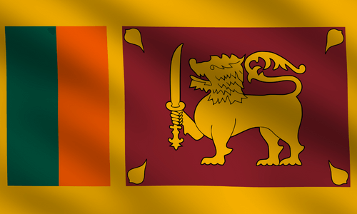Marktforschungspanel in Sri Lanka