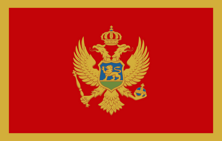 Online-Panel in Montenegro