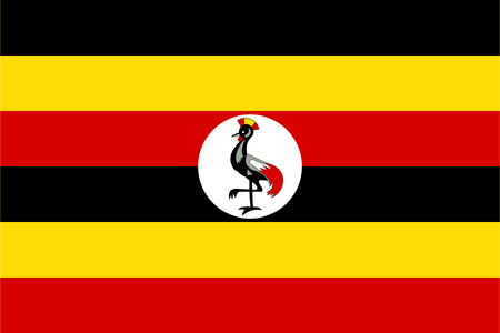 Online-Panel in Uganda