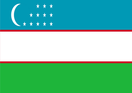 Online-Forschungspanel in Usbekistan