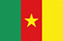 Panele online und mobil in Kamerun