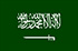 Online-Forschungspanel in Saudi-Arabien (KSA)