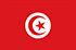 Online- und Mobile-Panel in Tunesien