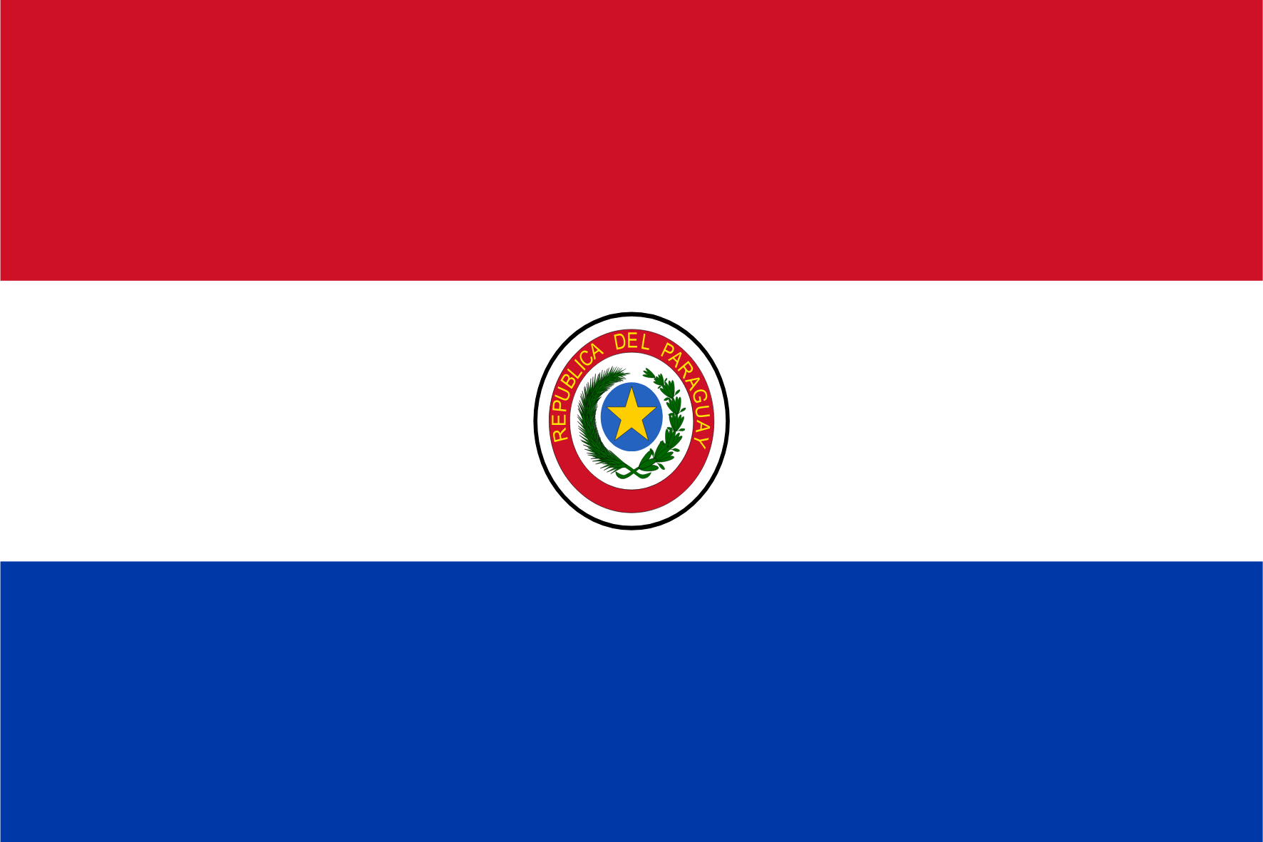 Online-Forschungspanel in Paraguay