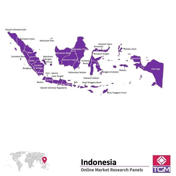 ONLINE-PANEL IN INDONESIEN |  Marktforschung in Indonesien
