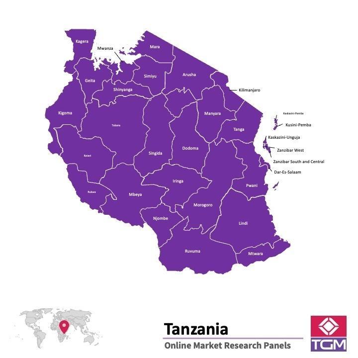 Online-Panel in Tanzania | Marktforschung in Tanzania