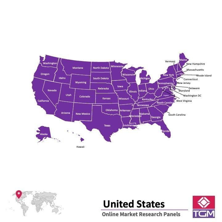 ONLINE-PANEL IN VEREINIGTE STAATEN (USA) |  Marktforschung in USA