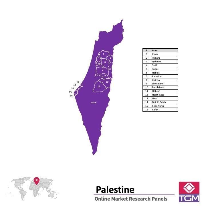 ONLINE-PANEL IN PALÄSTINA |  Marktforschung in Palästina