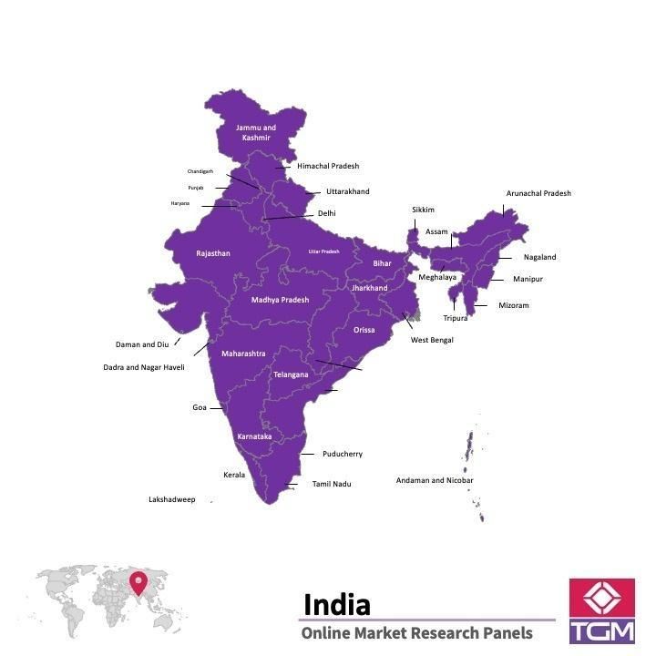 ONLINE-PANEL IN INDIEN |  Marktforschung in Indien