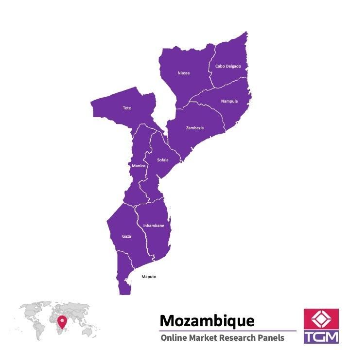 ONLINE-PANEL IN MOSAMBIK |  Marktforschung in Mosambik