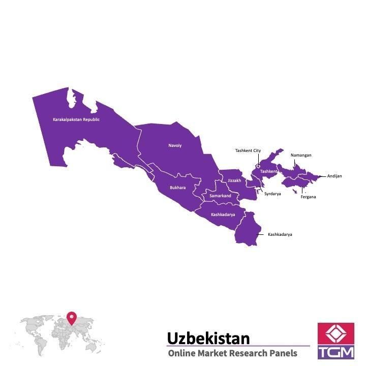 ONLINE-PANEL IN USBEKISTAN |  Marktforschung in Usbekistan