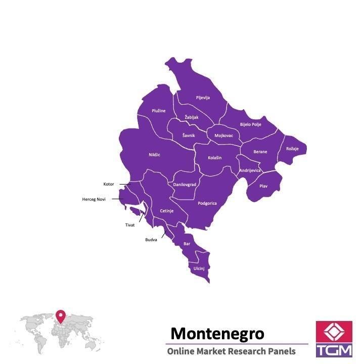 ONLINE-PANEL IN MONTENEGRO |  Marktforschung in Montenegro
