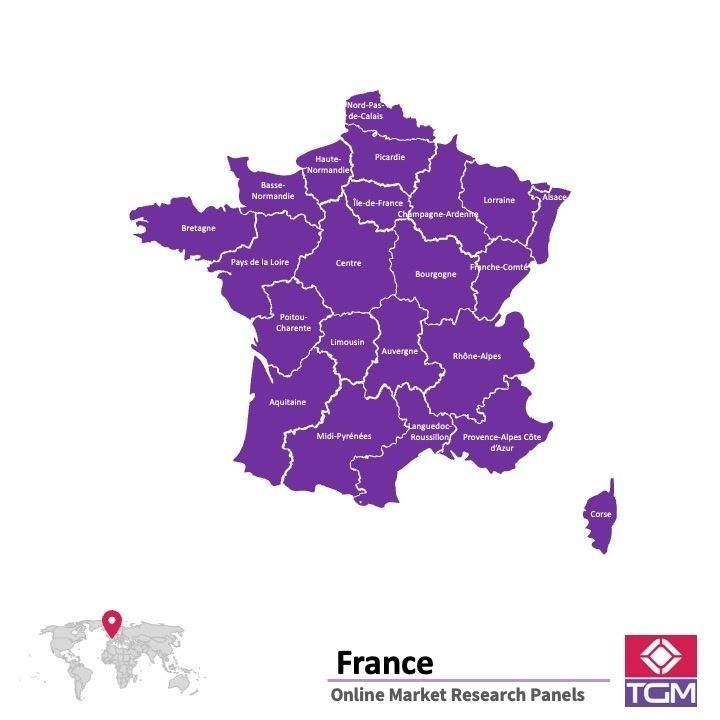 ONLINE-PANEL IN FRANKREICH |  Marktforschung in Frankreich
