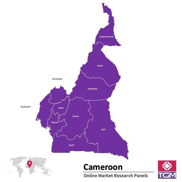 ONLINE-PANEL IN KAMERUN |  Marktforschung in Kamerun