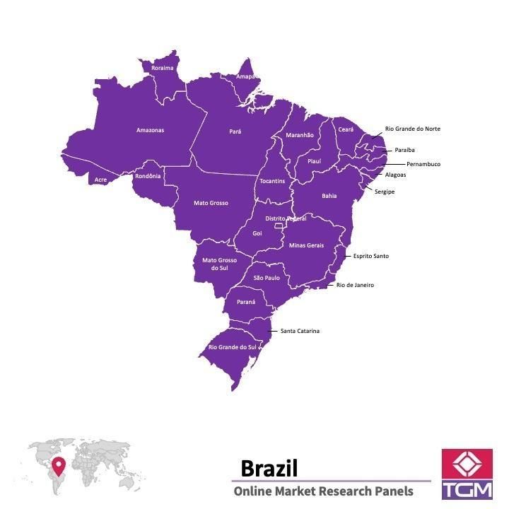 ONLINE-PANEL IN BRASILIEN |  Marktforschung in Brasilien