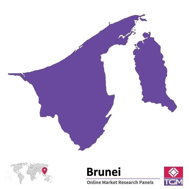 ONLINE-PANEL IN BRUNEI |  Marktforschung in Brunei