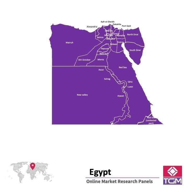 ONLINE-PANEL IN ÄGYPTEN |  Marktforschung in Ägypten