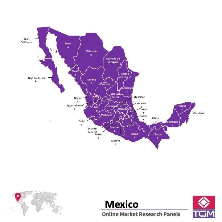 ONLINE-PANEL IN MEXIKO |  Marktforschung in Mexiko