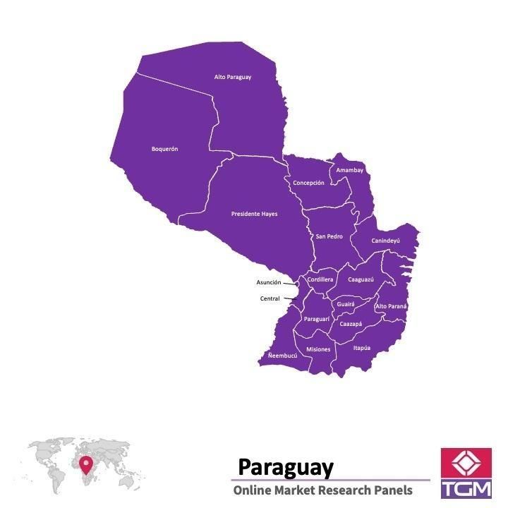 ONLINE-PANEL IN PARAGUAY |  Marktforschung in Paraguay