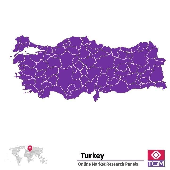ONLINE-PANEL IN DER TÜRKEI |  Marktforschung in der Türkei