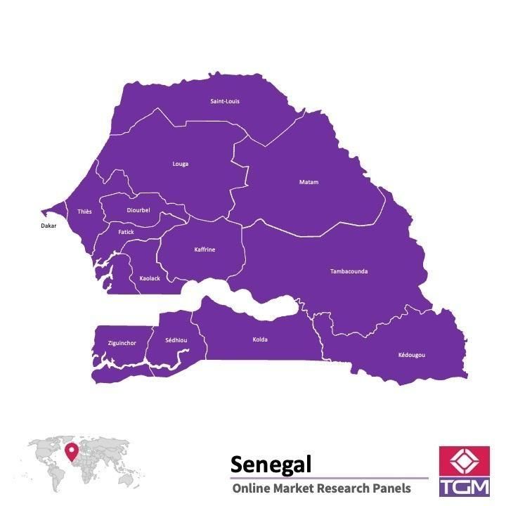ONLINE-PANEL IN SENEGAL |  Marktforschung in Senegal