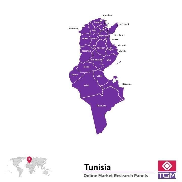 ONLINE-PANEL IN TUNESIEN |  Marktforschung in Tunesien