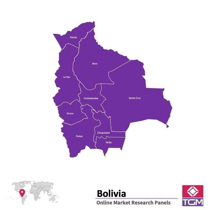 ONLINE-PANEL IN BOLIVIEN |  Marktforschung in Bolivien
