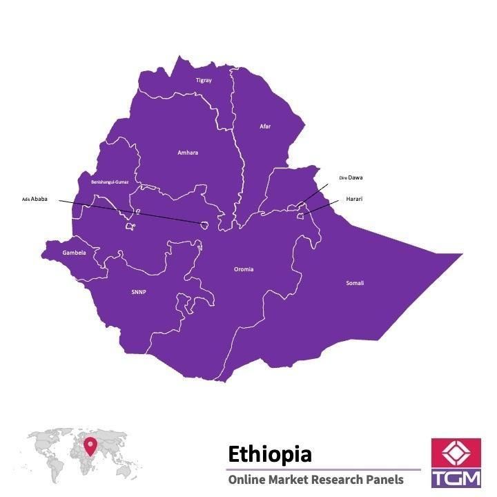 ONLINE-PANEL IN ÄTHIOPIEN |  Marktforschung in Äthiopien