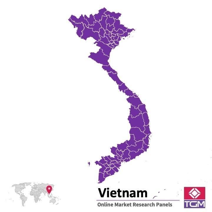 ONLINE-PANEL IN VIETNAM |  Marktforschung in Vietnam