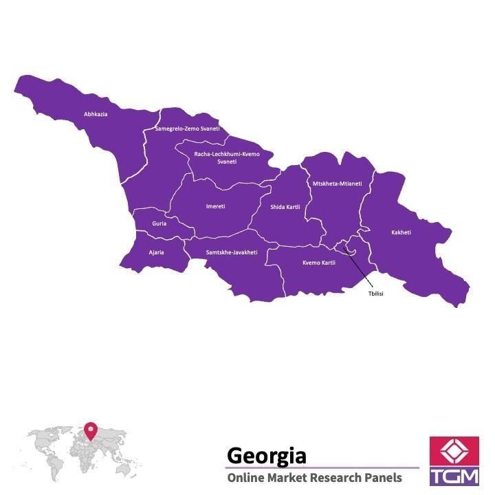 ONLINE-PANEL IN GEORGIA |  Marktforschung in Georgia