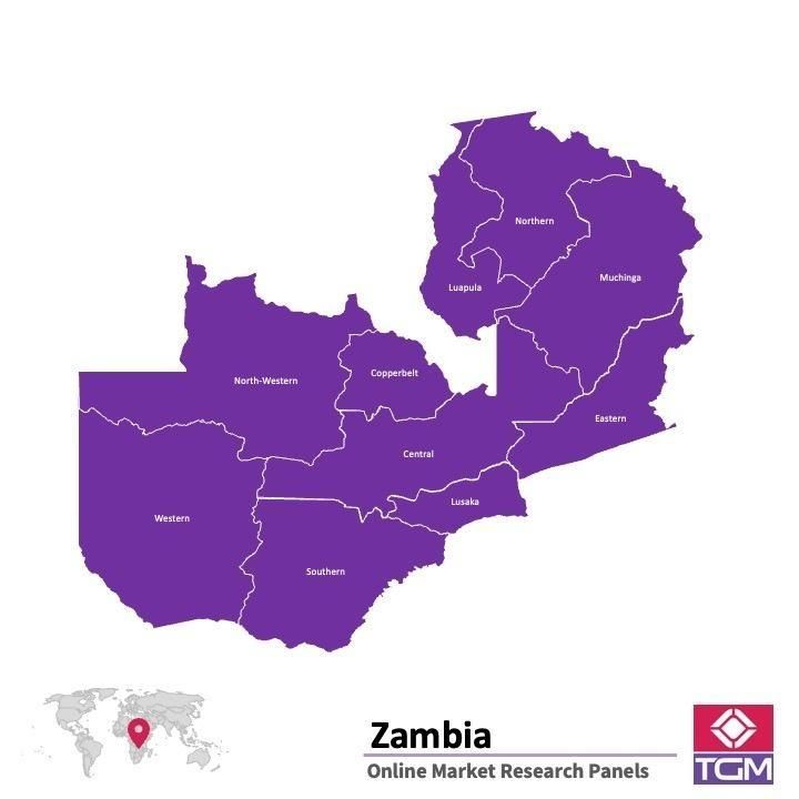 ONLINE-PANEL IN SAMBIA |  Marktforschung in Sambia