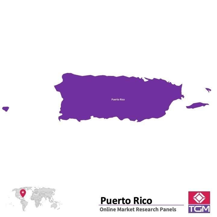 ONLINE-PANEL IN PUERTO RICO |  Marktforschung in Puerto Rico